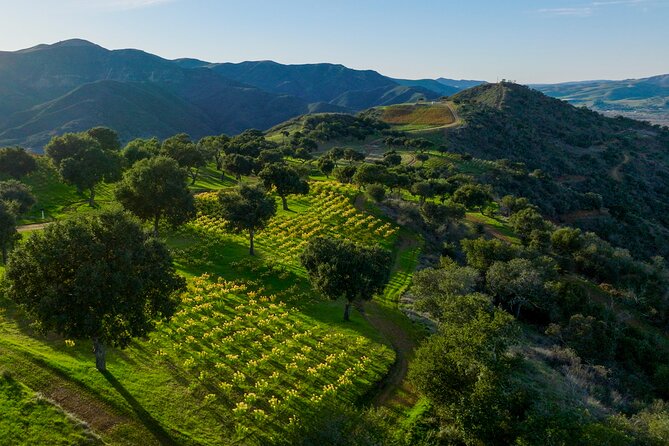 Epic Zipline Tour near Santa Barbara - Safety Harness and Briefing: Professional, Clear, and Fast