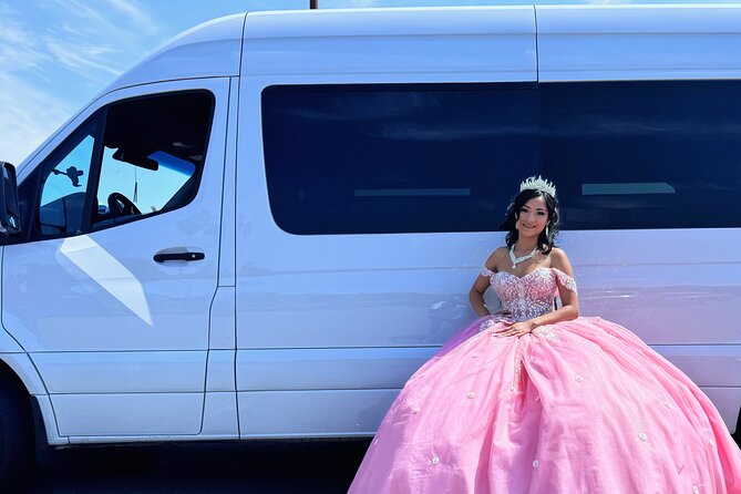 Experience the best Napa Wine Tour in a Limo Van! - What Makes the Driver and Concierge Support Worth Paying For
