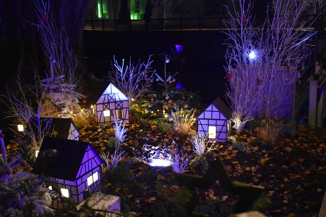 Experience the magic of Christmas in Riquewihr and Eguisheim! - Riquewihr Christmas Market: Old-Town Magic with One Perfect Hour