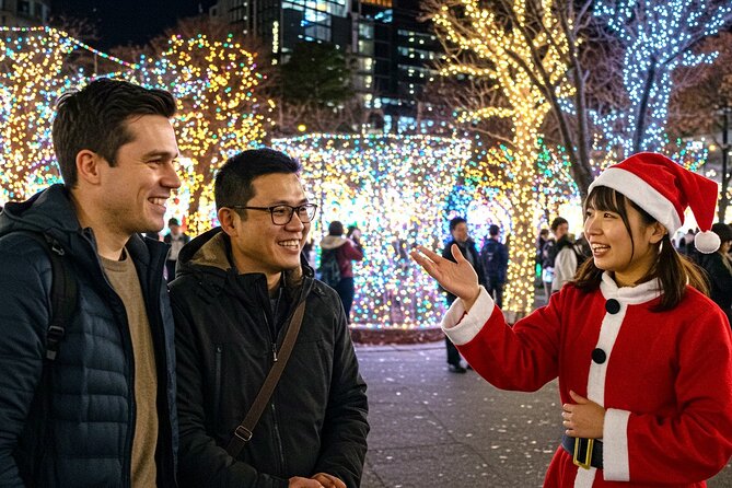 Experience the Magic of Christmas in Tokyo - Price and value: paying for comfort, time, and group efficiency