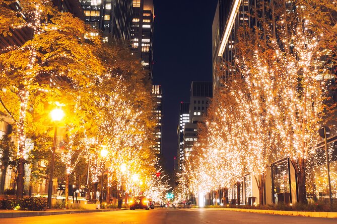 Experience the Magic of Christmas in Tokyo - Stop-by-stop: what the night feels like at each light spot