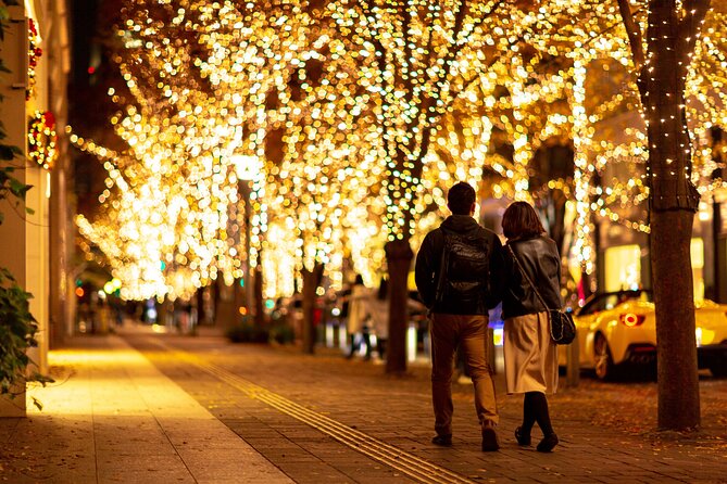 Experience the Magic of Christmas in Tokyo - Who should book this private Christmas Night Tour