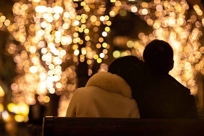 Experience the Magic of Christmas in Tokyo - Should you book this Tokyo Christmas Night Tour?