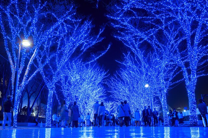 Experience the Magic of Christmas in Tokyo - FAQ