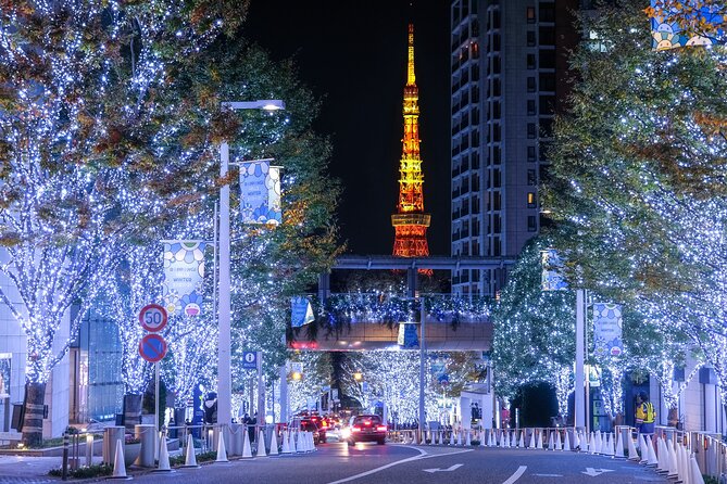 Experience the Magic of Christmas in Tokyo - Pickup, mobile tickets, and why the guide experience matters