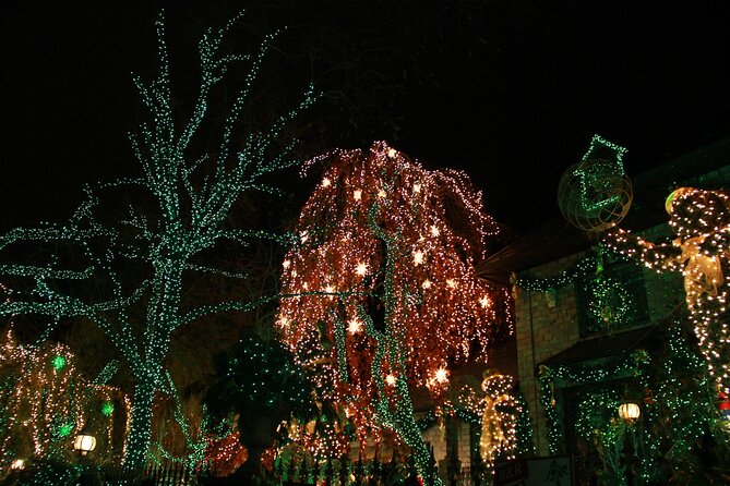 French Christmas Tour in Brooklyn - The guides, the vibe, and the French-speaking advantage