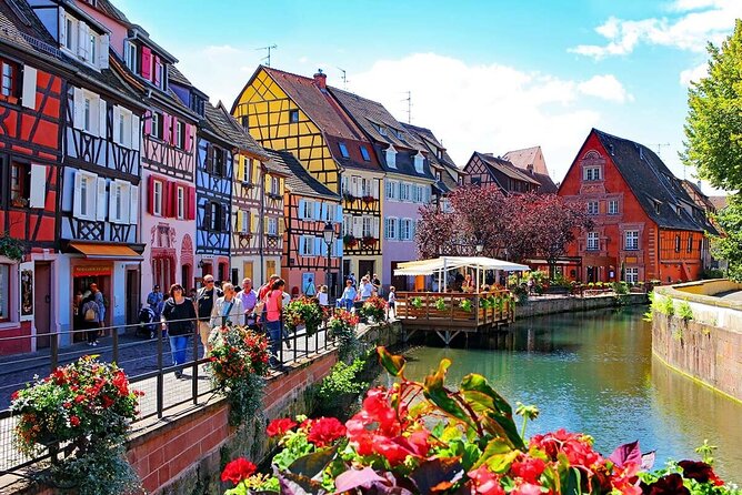 From Basel: Colmar Christmas Market & Wine Tasting Private Tour - The highlight for many people: organic wine tasting in Colmar