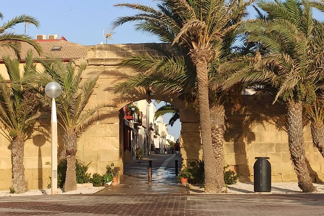 From Torrevieja to Tabarca, Santa Pola and entrance to the Pink Lagoon - Key Points I’d Put First