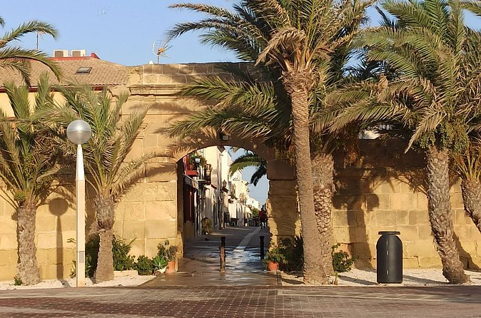 From Torrevieja to Tabarca, Santa Pola and entrance to the Pink Lagoon - Isla de Tabarca: No Cars, Guided Orientation, and Swim Time