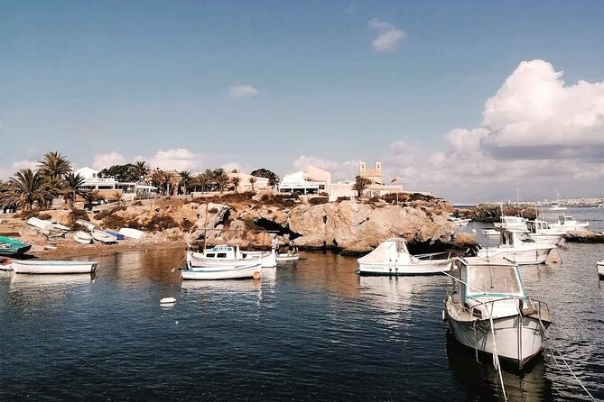 From Torrevieja to Tabarca, Santa Pola and entrance to the Pink Lagoon - Getting to Tabarca the Easy Way: Santa Pola Port Setup