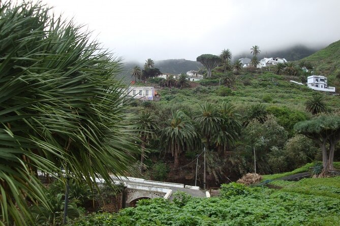Full Day Tour of Santa Cruz and San Cristóbal de La Laguna - Key Highlights You’ll Notice Fast