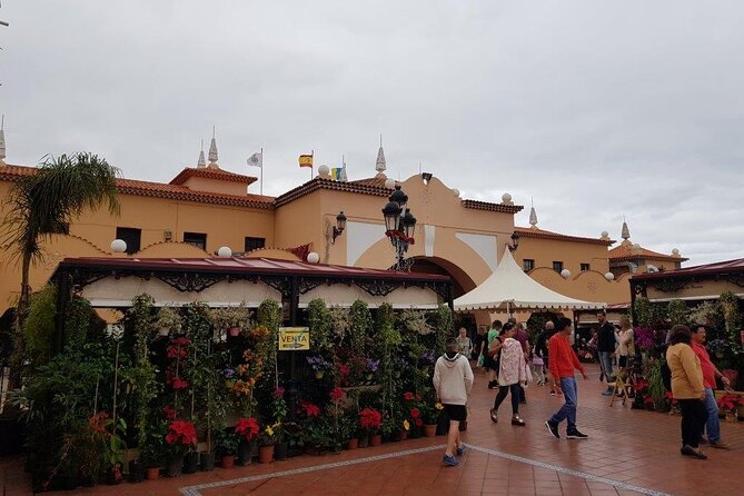 Full Day Tour of Santa Cruz and San Cristóbal de La Laguna - Stop 1: Santa Cruz de Tenerife Old Town in About One Hour