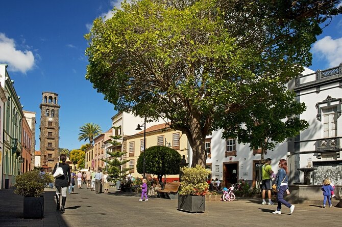 Full Day Tour of Santa Cruz and San Cristóbal de La Laguna - Anaga Rural Park: The Short Stop That Still Feels Big
