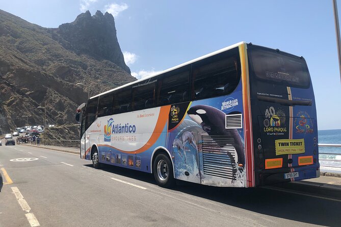 Full day tour visiting Santa Cruz, La Laguna and Anaga - Santa Cruz de Tenerife: a smart intro to the island’s capital