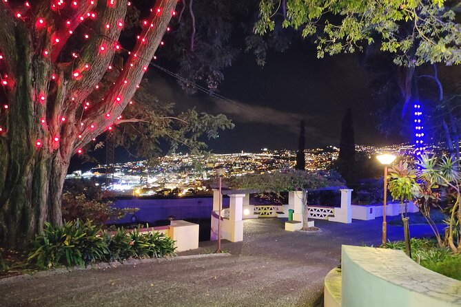 Funchal Christmas lights sightseeing night tour - How Long It Really Takes (And Why Traffic Changes Everything)