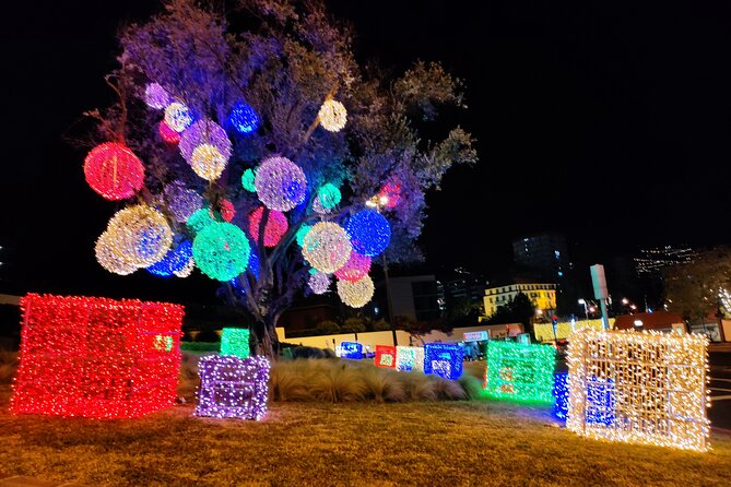 Funchal Christmas lights sightseeing night tour - What You’ll See in Those Lights: More Than One Kind of Display