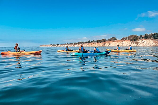 Gaviota Coast Kayak Tour Near Santa Barbara (3.5 Hours) - Wetsuit Weather Reality: Gear Included for Real Comfort