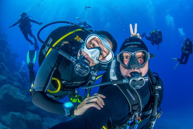 Guided Immersion from Santa Cruz de Tenerife - Key highlights to clock before you go