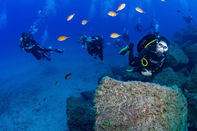 Guided Immersion from Santa Cruz de Tenerife - Getting started at Macaronesian Divers in Radazul