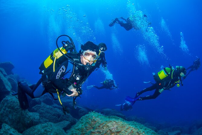 Guided Immersion from Santa Cruz de Tenerife - The first hour: technical briefing and knowing what you’ll see