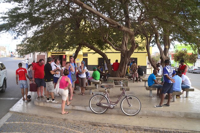 Half-Day Sal Island Tour with Shark Experience from Santa Maria - Why This 4-Hour Sal Kickoff Works from Santa Maria