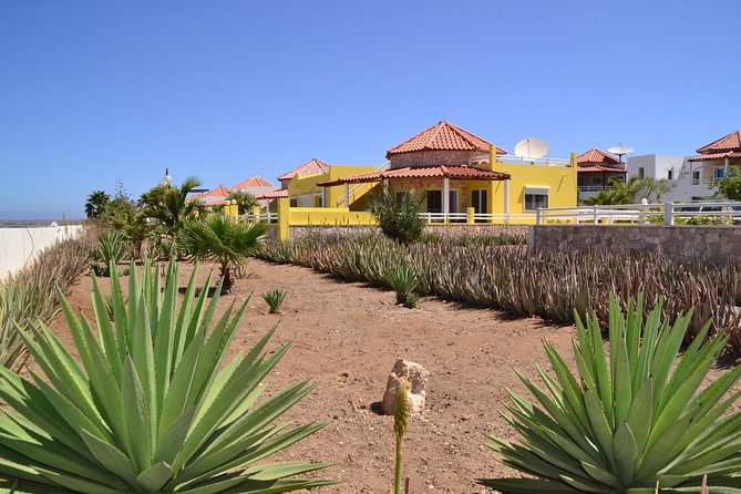 Half-Day Sal Island Tour with Shark Experience from Santa Maria - Palmeira Port Town: fishing life and colorful Cape Verdean houses