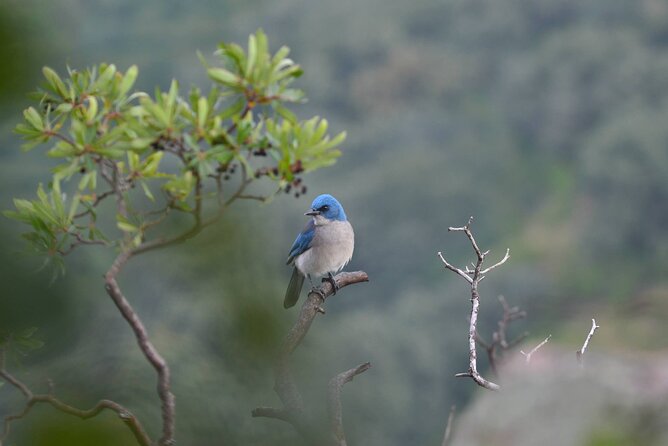 Hike in the Sierra de Santa Rosa - Key highlights you’ll feel fast