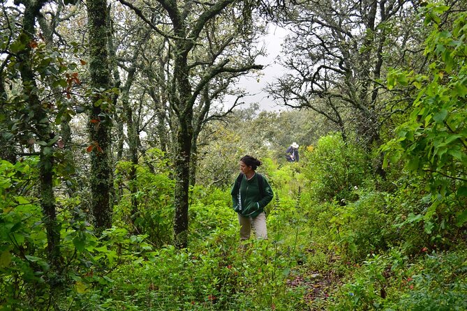 Hike in the Sierra de Santa Rosa - From Santa Rosa town to the trailhead: a calmer start than you expect