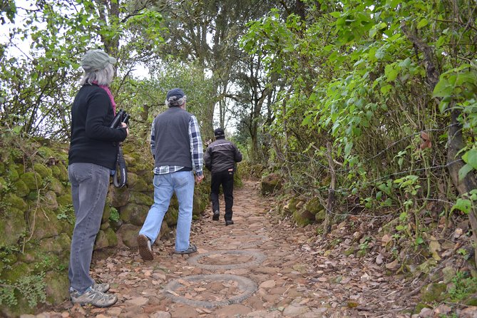 Hike in the Sierra de Santa Rosa - What’s included (and what you’ll want to bring mentally)