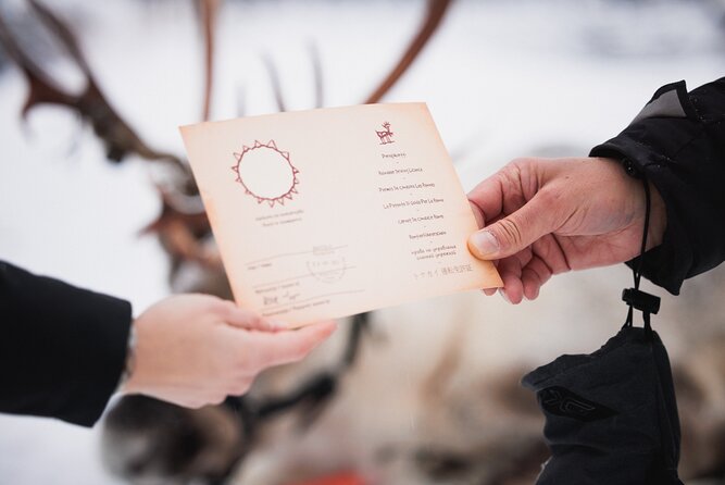 Husky and Reindeer Experience - Santa Claus Village: free time is great, but it can be tight