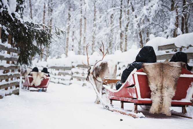 Husky and Reindeer Experience - Group size and the cold-weather queue factor