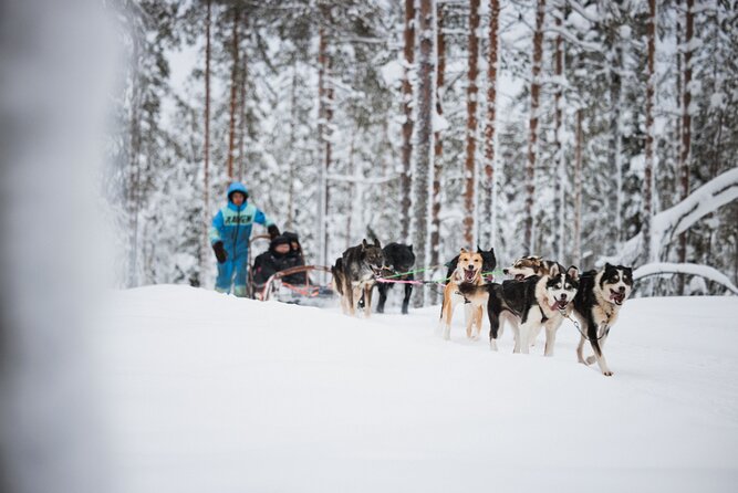 Husky and Reindeer Experience - What to pack for a winter schedule with waiting time