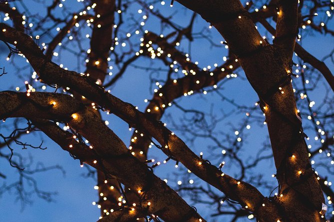 Iceland's Christmas Myths and Traditions - Reykjavík walking tour - Why This Reykjavik Christmas Myths Walk Works in 90 Minutes