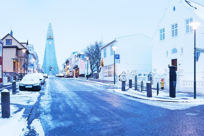 Iceland's Christmas Myths and Traditions - Reykjavík walking tour - The Einar Jónsson Sculpture Museum Garden: Winter Art That Feels Personal