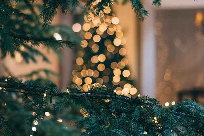 Iceland's Christmas Myths and Traditions - Reykjavík walking tour - Parliament House (Althingishus): A Short Look at Civic Reykjavík