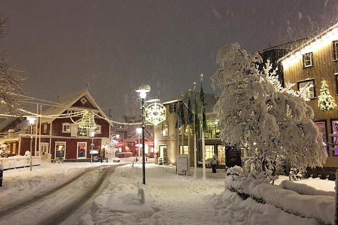 Iceland's Christmas Myths and Traditions - Reykjavík walking tour - Guide Power: When the Stories Have a Voice (Lalli)