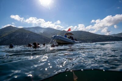 Immersion in Banco Santa Croce from Sorrento with Expert Guide - What You Might See: Fish Schools, Rays, and Colorful Gorgonians