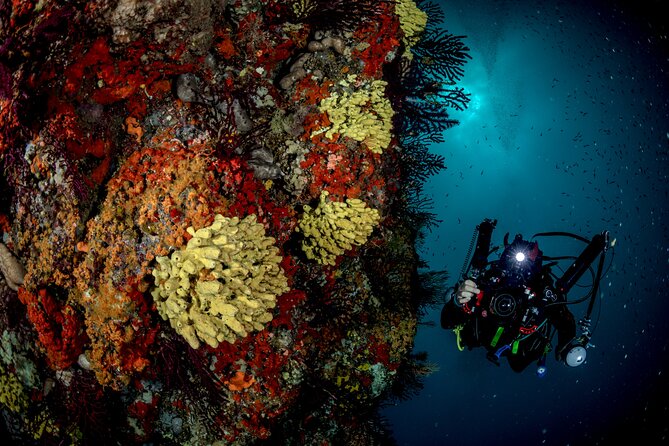 Immersion in Banco Santa Croce from Sorrento with Expert Guide - Who This Scuba Outing Suits (And Who Should Skip It)