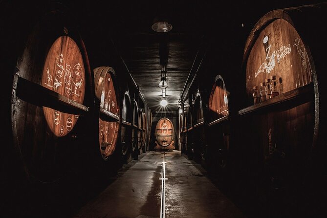 Immersive Christmas cellar visit and Alsace wine tasting - Why This Christmas Cellar Visit Works So Well