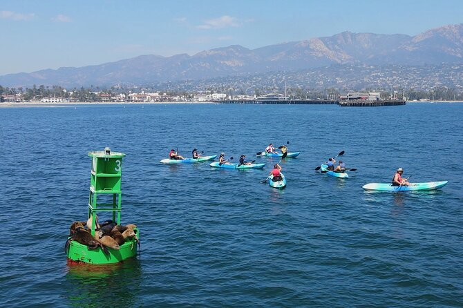 Kayak Tour of Santa Barbara with Experienced Guide - Routes that match your pace: 1.5 to 2.5 hours without the stress