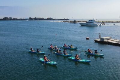 Kayak Tour of Santa Barbara with Experienced Guide - Price and what you actually get for $55
