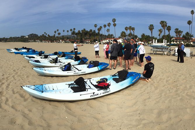 Kayak Tour of Santa Barbara with Experienced Guide - The Santa Barbara Waterfront: big views, better angles, real context