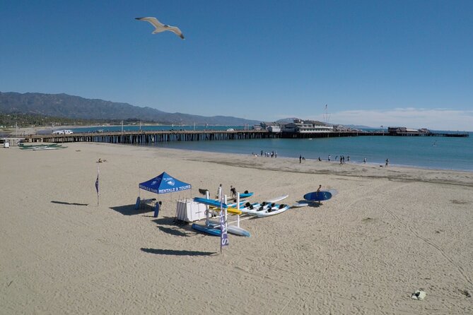 Kayak Tour of Santa Barbara with Experienced Guide - Wildlife spotting: seals, dolphins, and the smaller ocean surprises