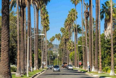 Limo Tour: Hollywood, Beverly Hills, Santa Monica, Venice, Malibu - Hollywood Walk of Fame and the Chinese Theater: Quick Star Power