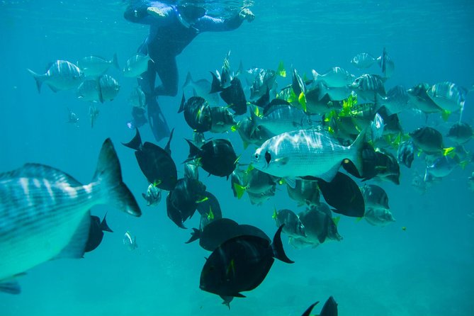 Los Cabos Snorkeling Tour to Chileno Bay and Santa Maria Cove - Stop 1: Santa Maria Beach and the quick path to clear water