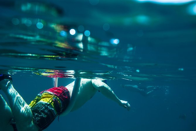 Los Cabos Snorkeling Tour to Chileno Bay and Santa Maria Cove - The guides: how Pedro, Marco, Hugo, Luis, Emilio, and others shape your day