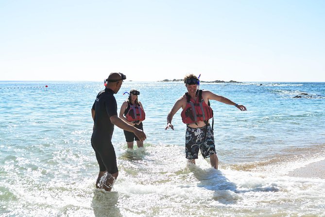 Los Cabos Snorkeling Tour to Chileno Bay and Santa Maria Cove - Getting the best visibility: simple choices that actually matter