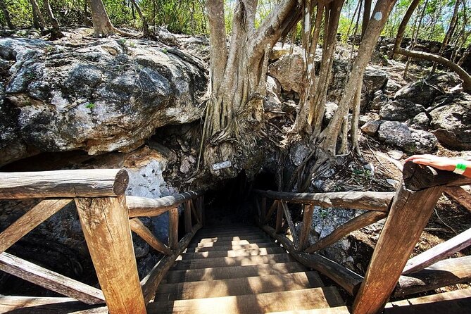 Merida : 4 Santa Barbara Cenotes and Bikes with Lunch - Santa Bárbara’s four cenotes: the main event