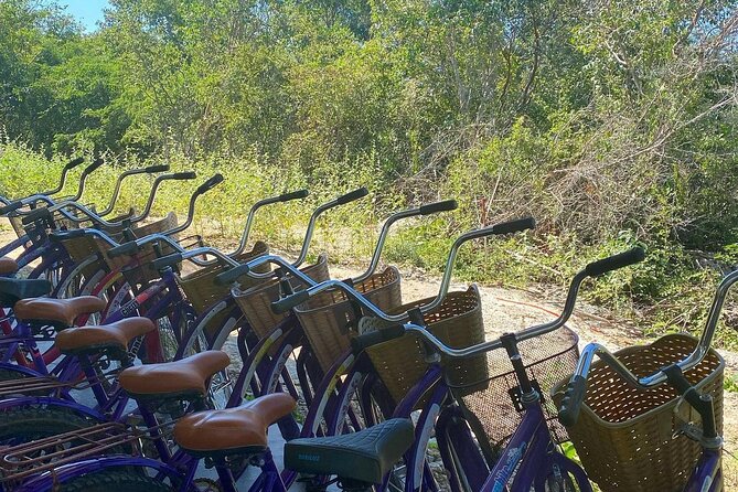Merida : 4 Santa Barbara Cenotes and Bikes with Lunch - Food at Santa Bárbara: included Yucatecan lunch (and drinks are extra)