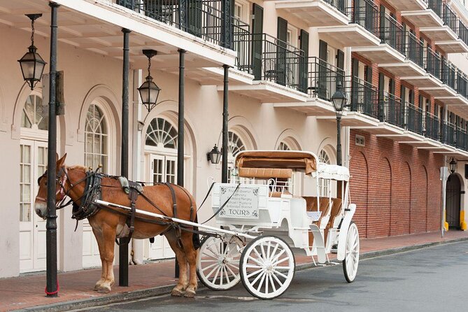 New Orleans French Quarter: Seasonal Christmas Tour - Key Highlights You’ll Actually Feel On This Tour